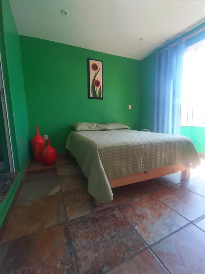 Hospedaje Casa Verde تيبوزتلان المظهر الخارجي الصورة